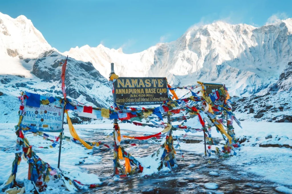 Himalayan Elegance