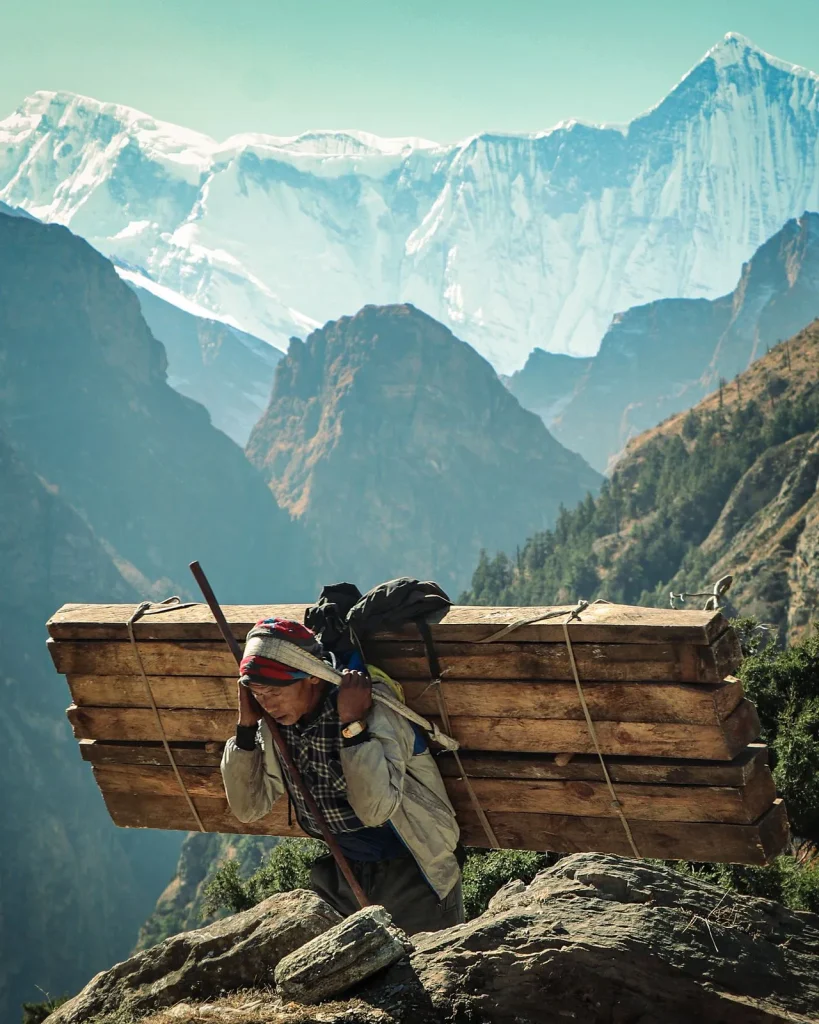 A Nepali sherpa porter carrying heavy wooden planks up a mountain path in the Himalayas.